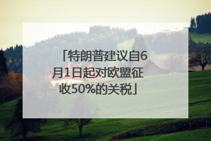 特朗普建议自6月1日起对欧盟征收50%的关税