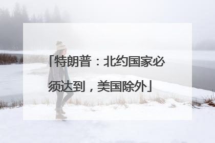 特朗普：北约国家必须达到，美国除外