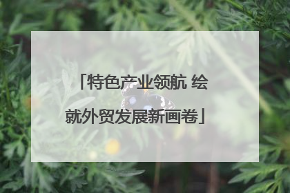 特色产业领航 绘就外贸发展新画卷