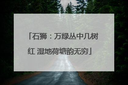 石狮：万绿丛中几树红 湿地荷塘韵无穷