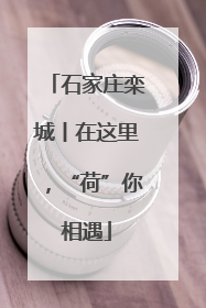 石家庄栾城丨在这里，“荷”你相遇