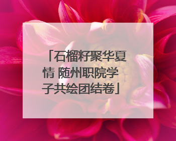 石榴籽聚华夏情 随州职院学子共绘团结卷