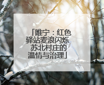 睢宁：红色驿站麦浪闪烁 苏北村庄的温情与治理