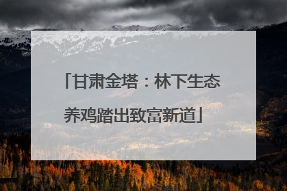 甘肃金塔：林下生态养鸡踏出致富新道
