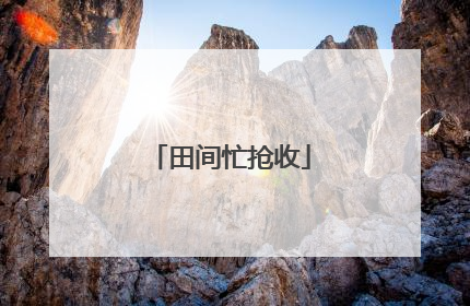 田间忙抢收