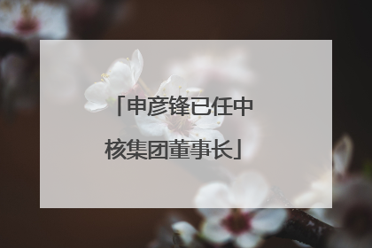 申彦锋已任中核集团董事长