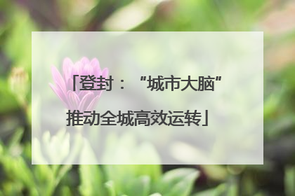 登封：“城市大脑”推动全城高效运转