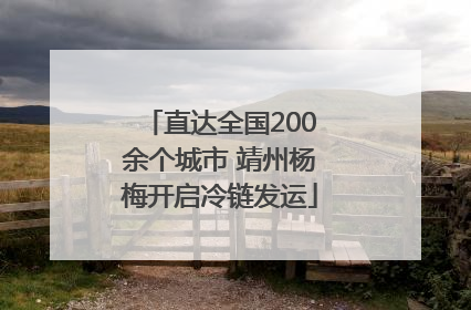 直达全国200余个城市 靖州杨梅开启冷链发运