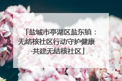 盐城市亭湖区盐东镇：无结核社区行动守护健康 ·共建无结核社区