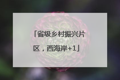 省级乡村振兴片区，西海岸+1