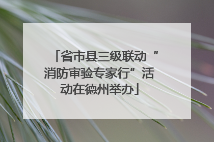 省市县三级联动“消防审验专家行”活动在德州举办