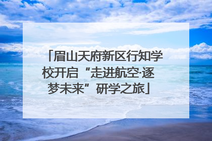 眉山天府新区行知学校开启“走进航空·逐梦未来”研学之旅
