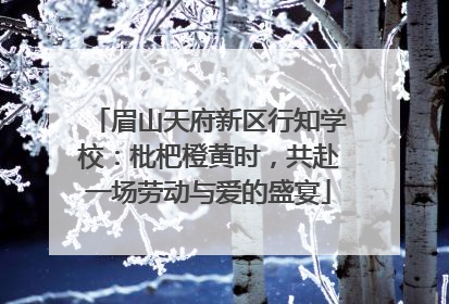 眉山天府新区行知学校：枇杷橙黄时，共赴一场劳动与爱的盛宴