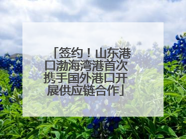 签约！山东港口渤海湾港首次携手国外港口开展供应链合作