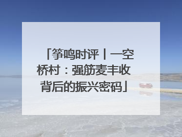 筝鸣时评丨一空桥村：强筋麦丰收背后的振兴密码