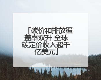 碳价和排放覆盖率双升 全球碳定价收入超千亿美元