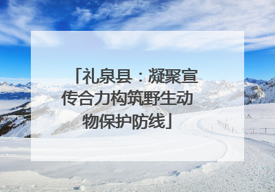 礼泉县：凝聚宣传合力构筑野生动物保护防线
