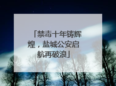 禁毒十年铸辉煌，盐城公安启航再破浪