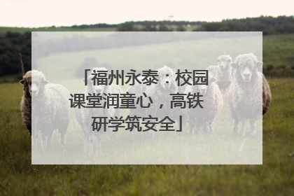 福州永泰：校园课堂润童心，高铁研学筑安全