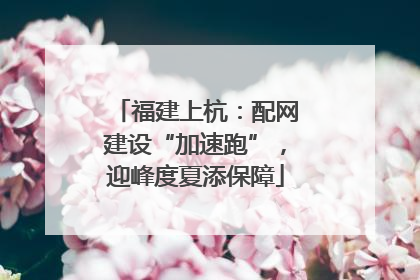 福建上杭：配网建设“加速跑”，迎峰度夏添保障