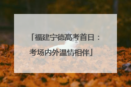 福建宁德高考首日：考场内外温情相伴