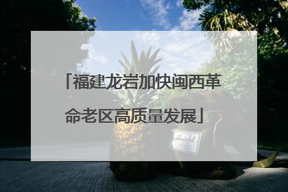 福建龙岩加快闽西革命老区高质量发展