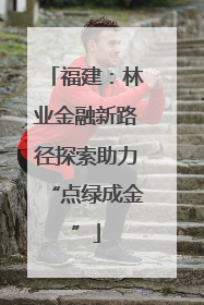 福建：林业金融新路径探索助力“点绿成金”