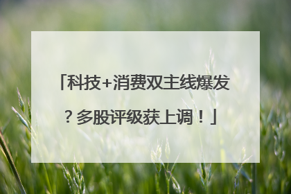 科技+消费双主线爆发？多股评级获上调！