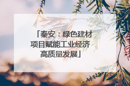 秦安：绿色建材项目赋能工业经济高质量发展
