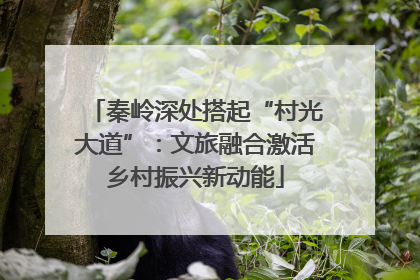 秦岭深处搭起“村光大道”：文旅融合激活乡村振兴新动能