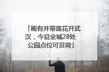 稀有并蒂莲花开武汉，今夏全城28处公园点位可赏荷