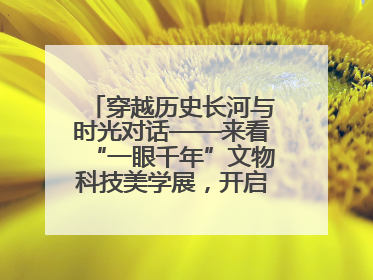 穿越历史长河与时光对话——来看“一眼千年”文物科技美学展，开启一场文化之旅