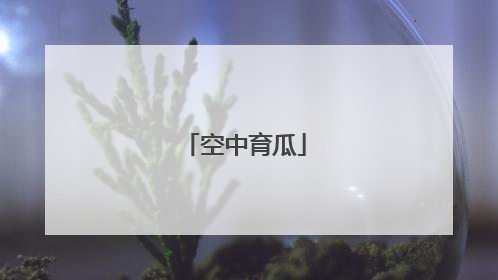 空中育瓜