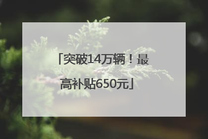 突破14万辆！最高补贴650元