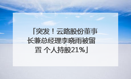 突发！云路股份董事长兼总经理李晓雨被留置 个人持股21%