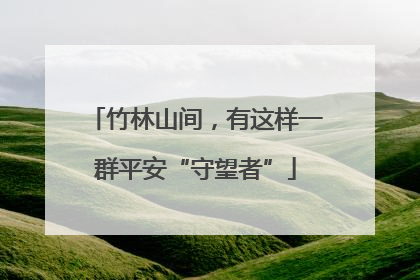 竹林山间，有这样一群平安“守望者”