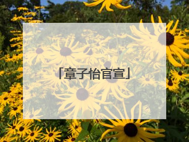 章子怡官宣