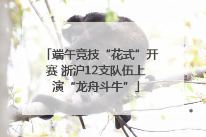 端午竞技“花式”开赛 浙沪12支队伍上演“龙舟斗牛”