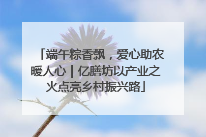 端午粽香飘，爱心助农暖人心｜亿膳坊以产业之火点亮乡村振兴路