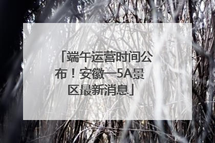端午运营时间公布！安徽一5A景区最新消息
