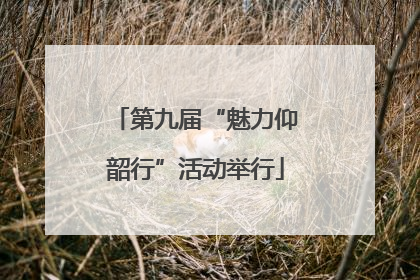 第九届“魅力仰韶行”活动举行