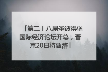 第二十八届圣彼得堡国际经济论坛开幕，普京20日将致辞