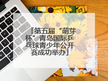 第五届“萌芽杯”青岛国际乒乓球青少年公开赛成功举办