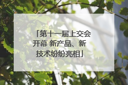 第十一届上交会开幕 新产品、新技术纷纷亮相