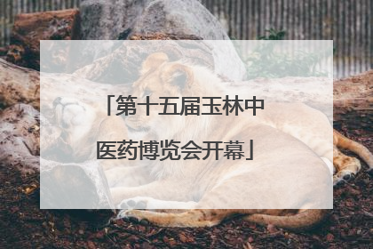 第十五届玉林中医药博览会开幕