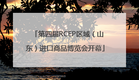 第四届RCEP区域（山东）进口商品博览会开幕