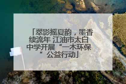 翠影摇夏韵，墨香续流年 江油市太白中学开展“一木环保”公益行动