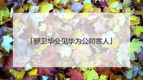 罗卫华会见华为公司客人