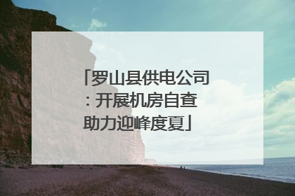 罗山县供电公司：开展机房自查 助力迎峰度夏