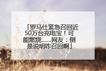 罗马仕紧急召回近50万台充电宝！可能燃烧……网友：倒是说明咋召回啊